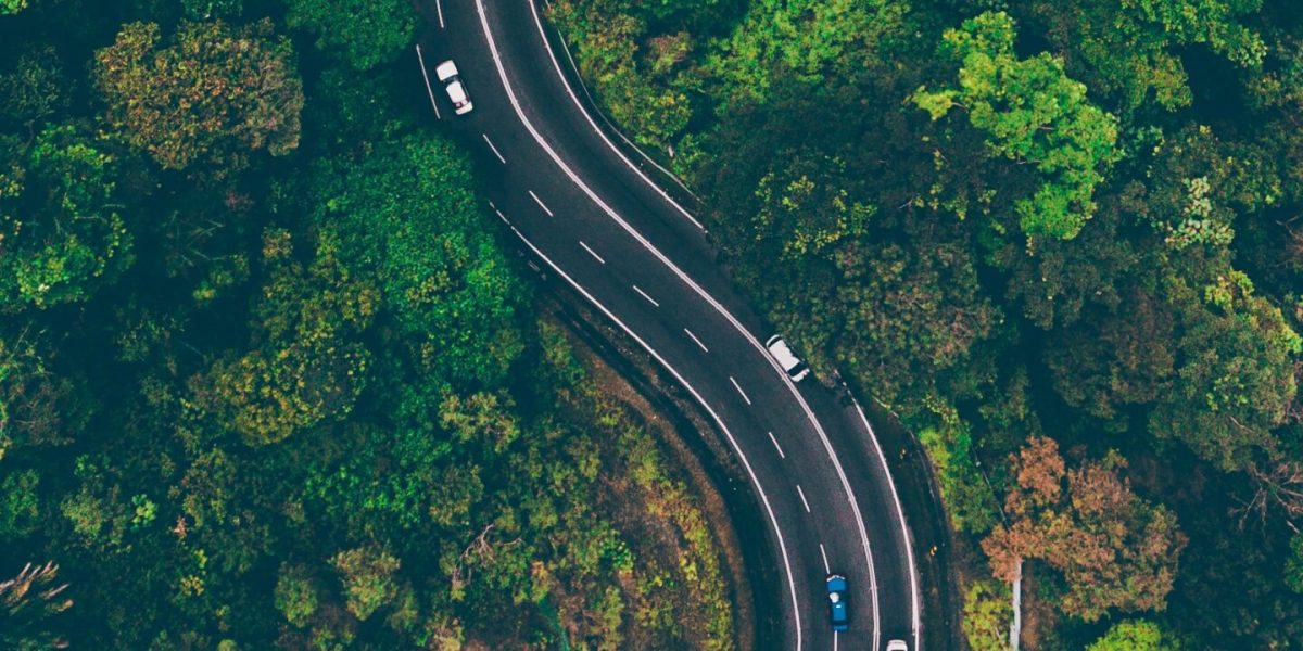 pexels-deva-darshan-1173777-scaled-q49orphip93snbz5ba5o5zekppunp042bhpam0t180-optimized